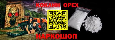 гидра Будённовск