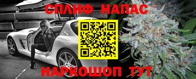 гидра Будённовск