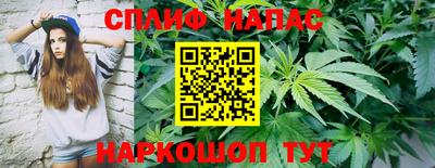 гидра Будённовск