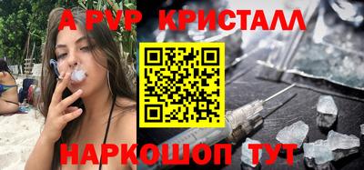 гидра Будённовск